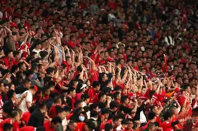 足球聚焦瞩目赛事，球迷狂热期待