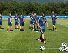 关于瑞典队主场大胜，提升在小组赛的排名的信息