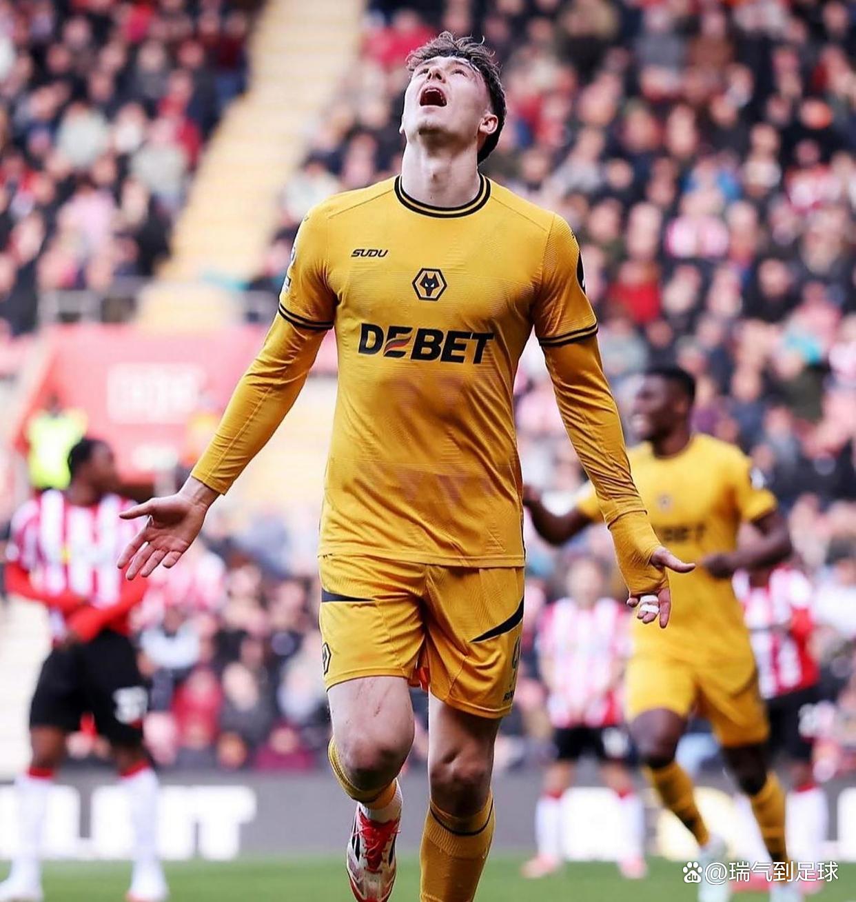 关于纽卡斯尔主场告负，降级形势愈发严峻的信息